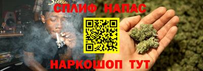 сатива Нарткала